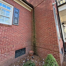 Top-Quality-House-Wash 2