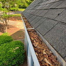 Gutter cleaning