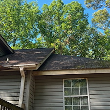 Roof cleaning