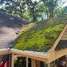 Roof cleaning