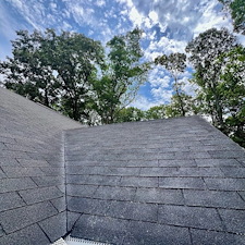 Roof cleaning