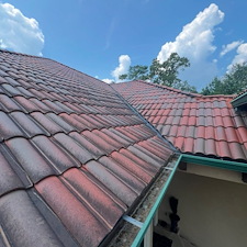 Roof cleaning