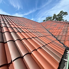 Roof cleaning