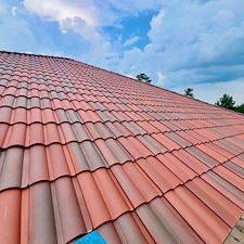 Roof cleaning
