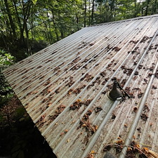 Roof cleaning